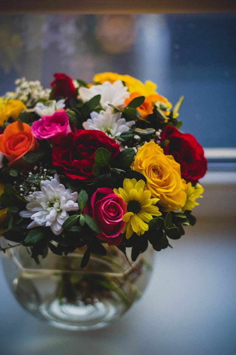 Close Up Photography Of Multi Petaled Plants In Clear Glass Vase Free