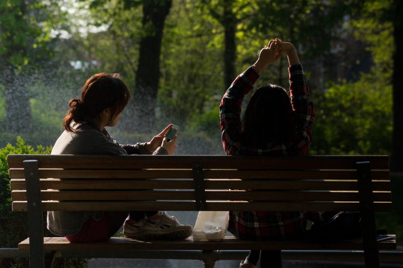 Bench, Chat, Chatting, Chilling, Communication, Friends