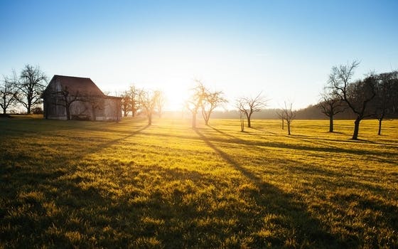 HD wallpaper of sky, sunset, field, trees