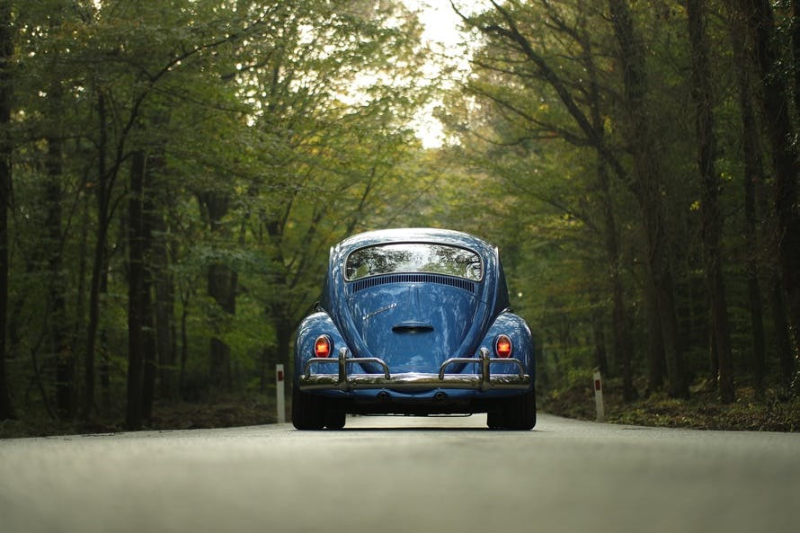 Blue Beetle Car on Gray Asphalt Road Between Green Leaf Trees