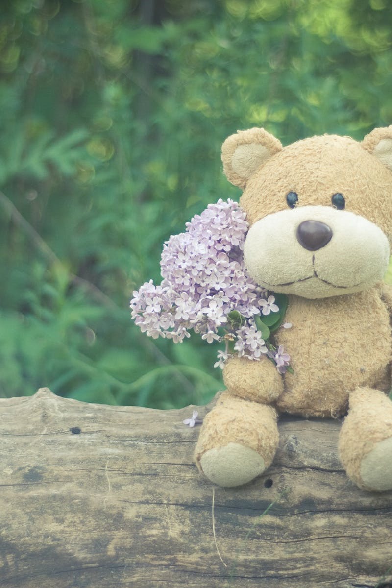 teddy bear with flowers