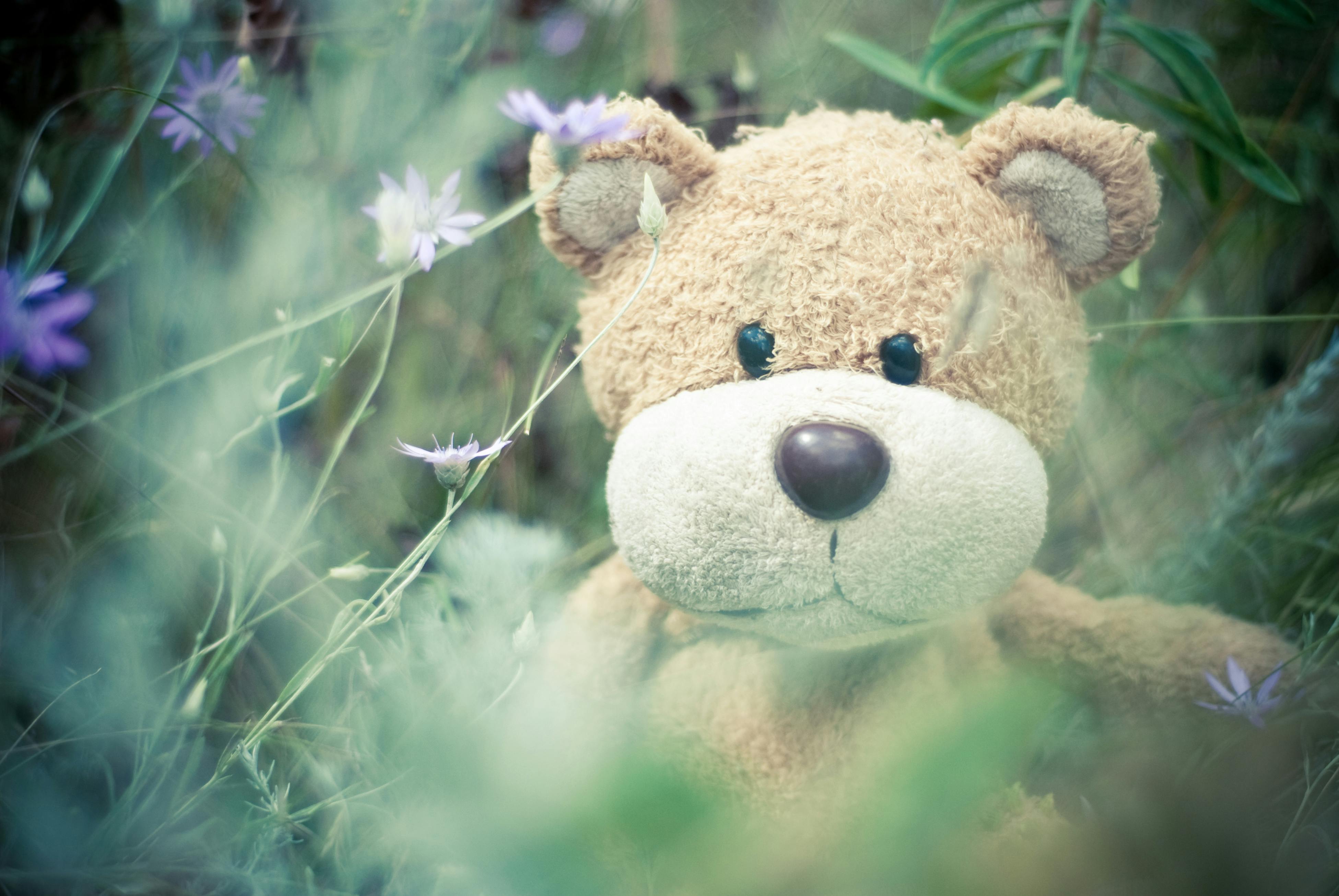 mr bean with his teddy