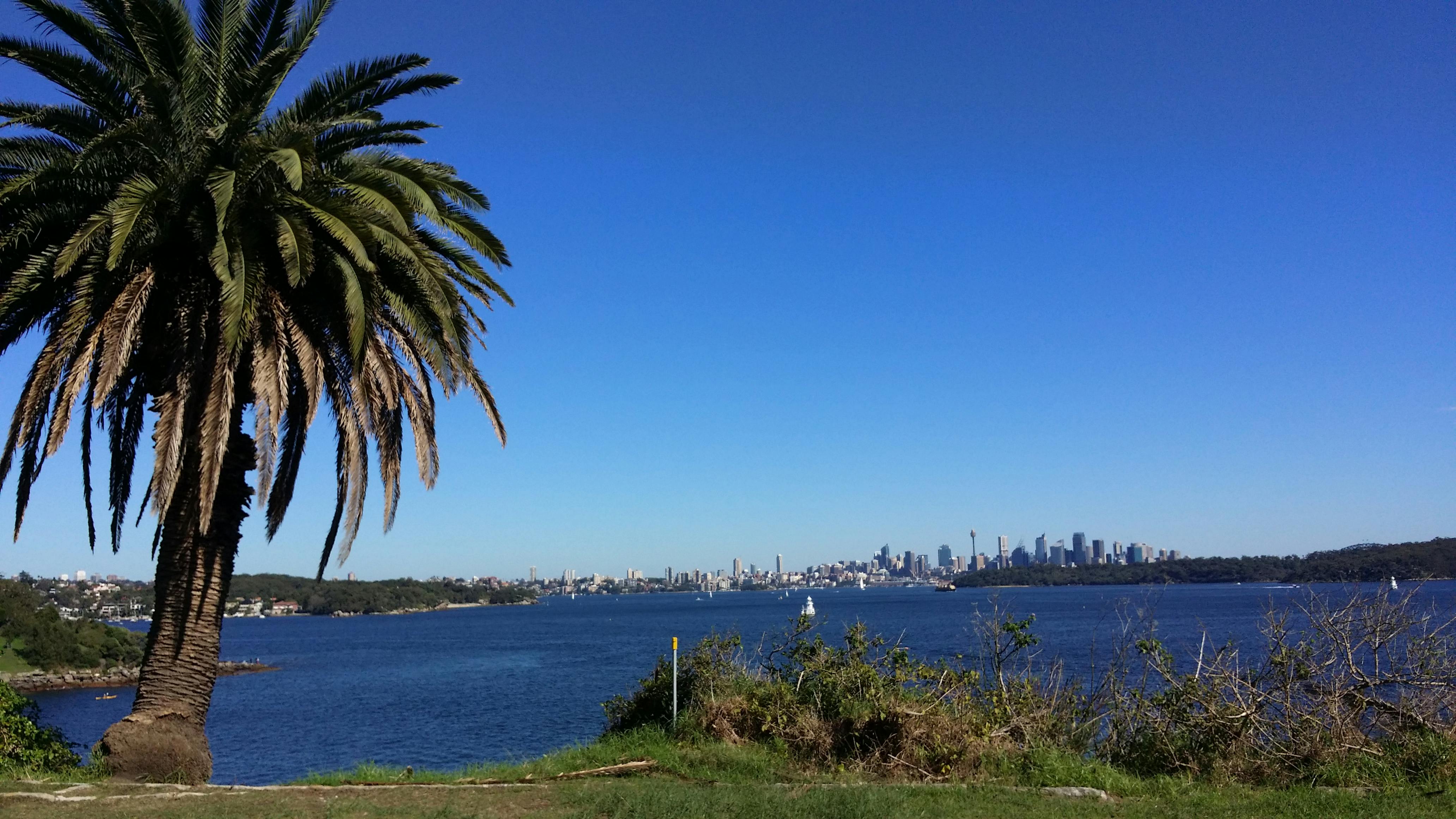 Free stock photo of skyline, summer, sydney