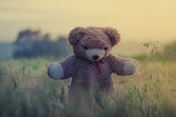 Brown Teddy Bear Sitting on Edge of Pavement · Free Stock Photo