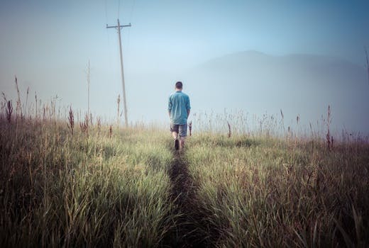 Free stock photo of man, person, walking, field