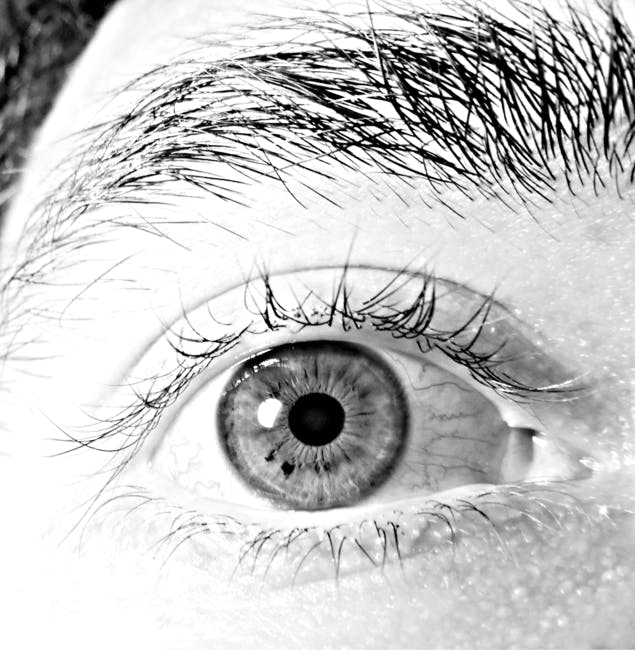 Eyelash Looking for a great eyecatching application for days of amazing eyecatching photos