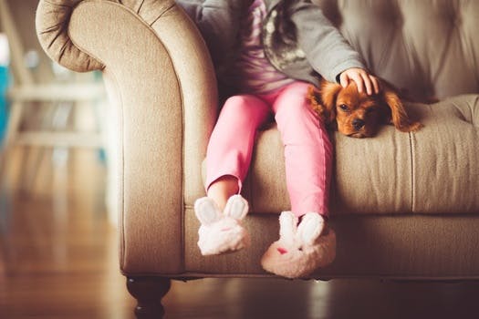 Girl in Grey Jacket and Pink Jeans Sitting in Grey Sofa Holding a Brown Short Coated Puppy