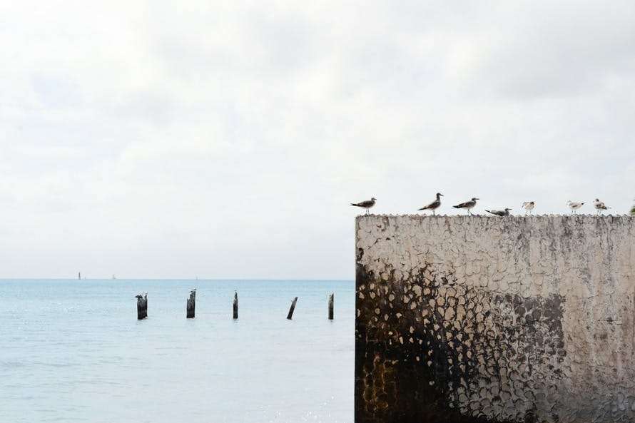 wood, sea, ocean, wall