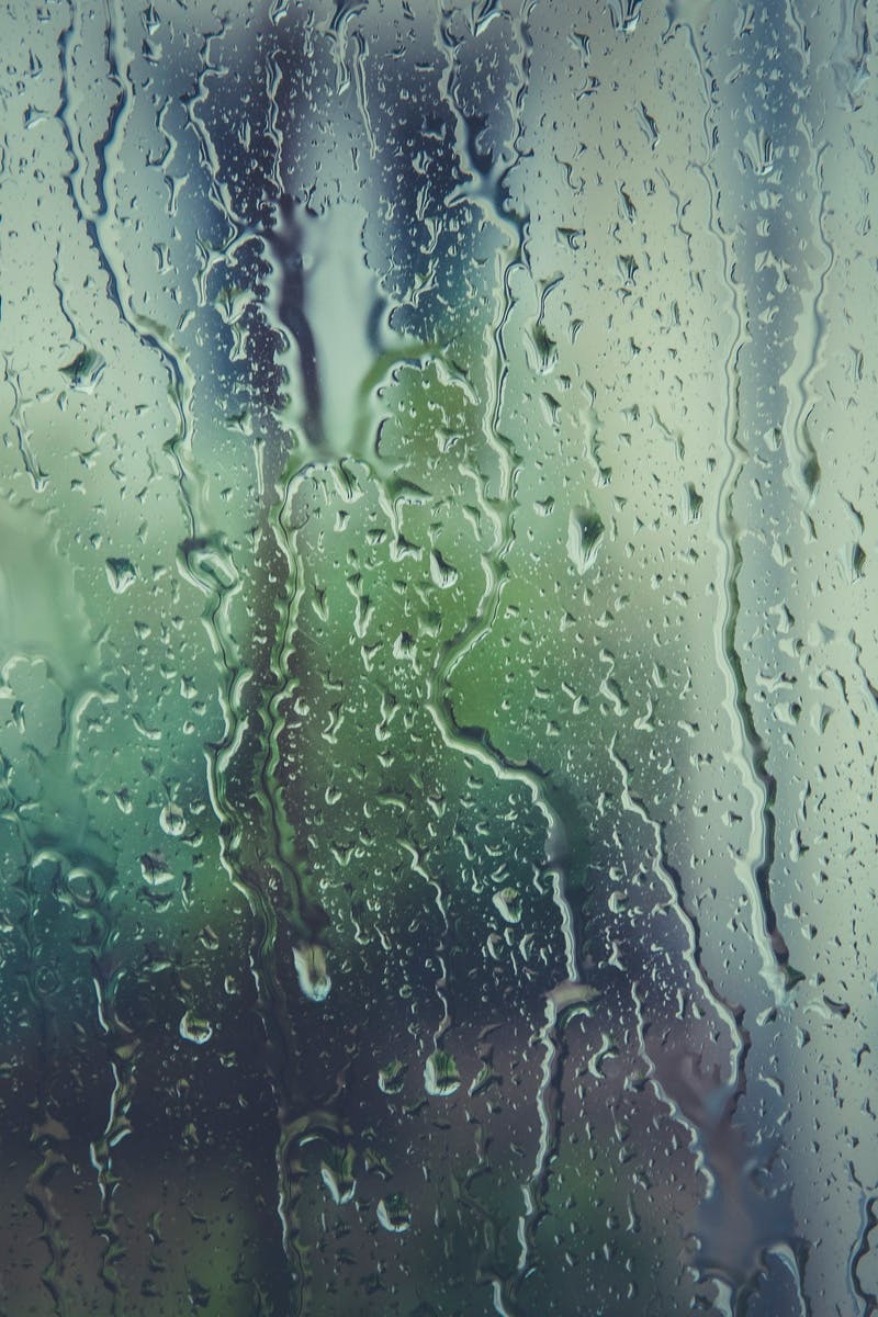 Free stock photo of rain, raindrops, rainy