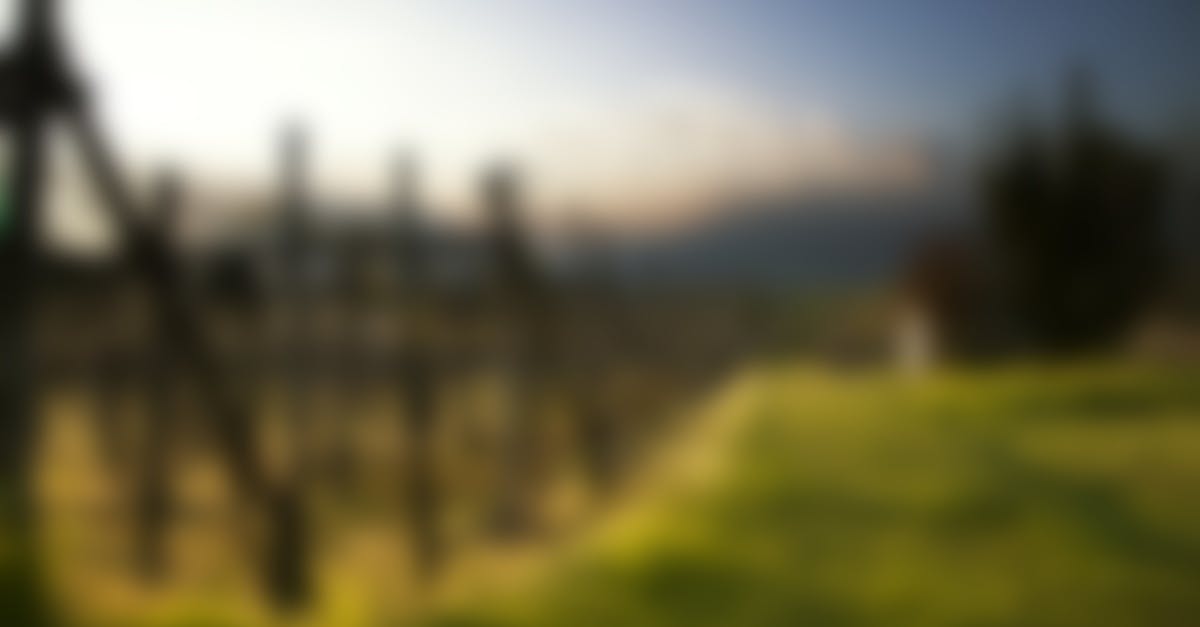  Free stock photo of background blur blurred 