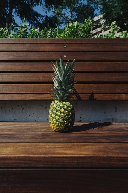 Free stock photo of bench, fruit, pineapple