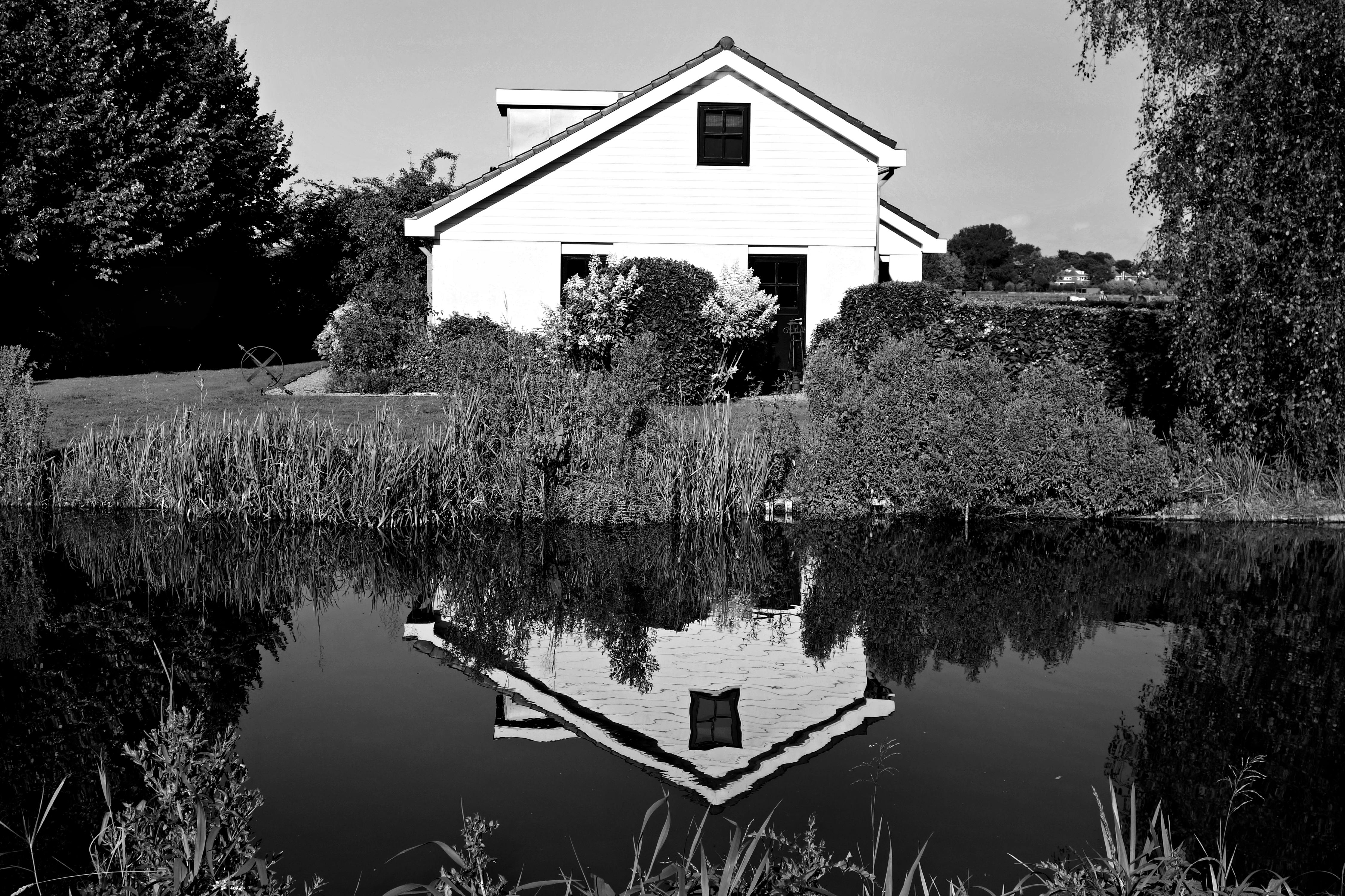 Free stock photo of architecture black and white bungalow 