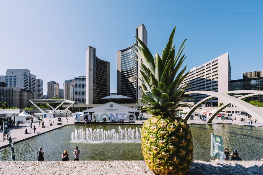 Free stock photo of city, downtown, fruit