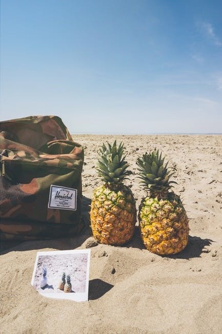 Free stock photo of backpack, beach, beachlife
