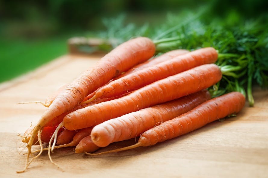 Free stock photo of carrots, farmers market, fresh