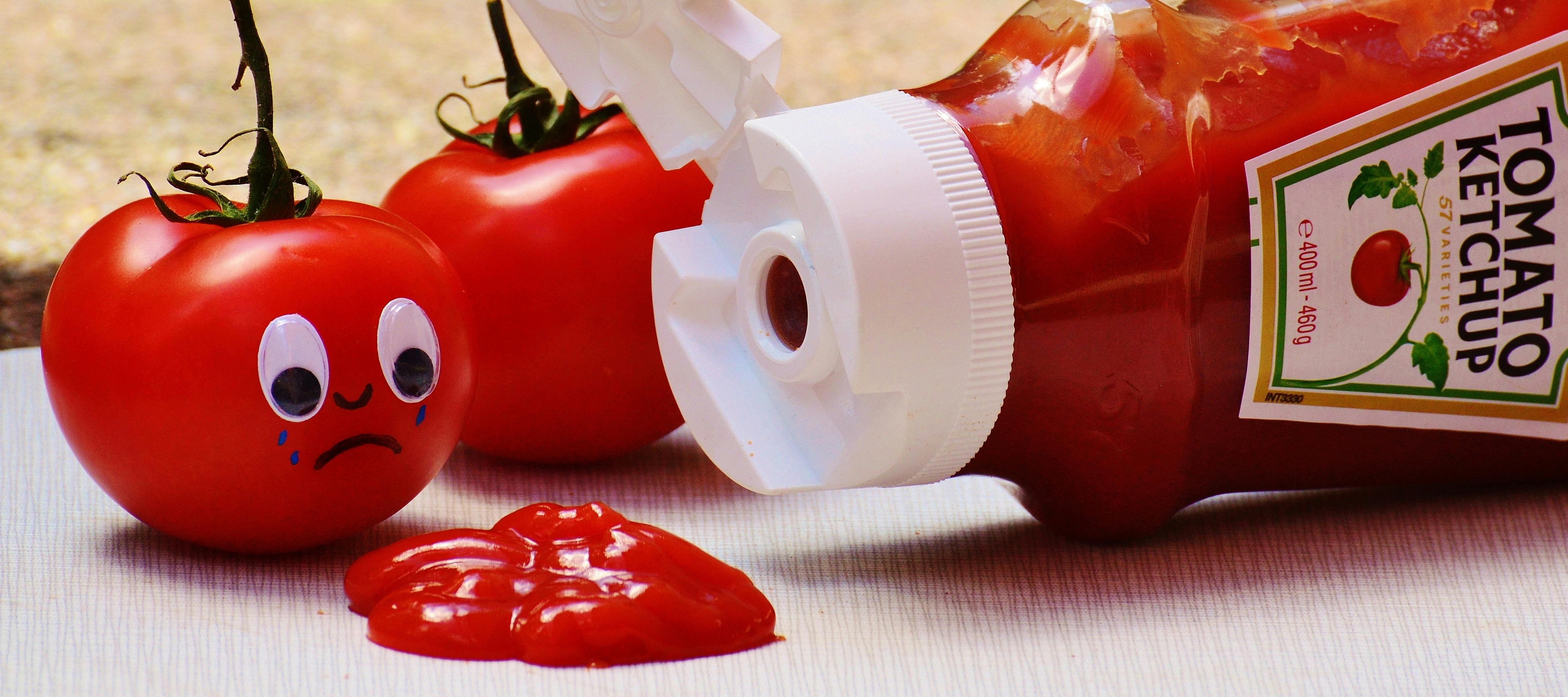 Rezultat iskanja slik za ketchup