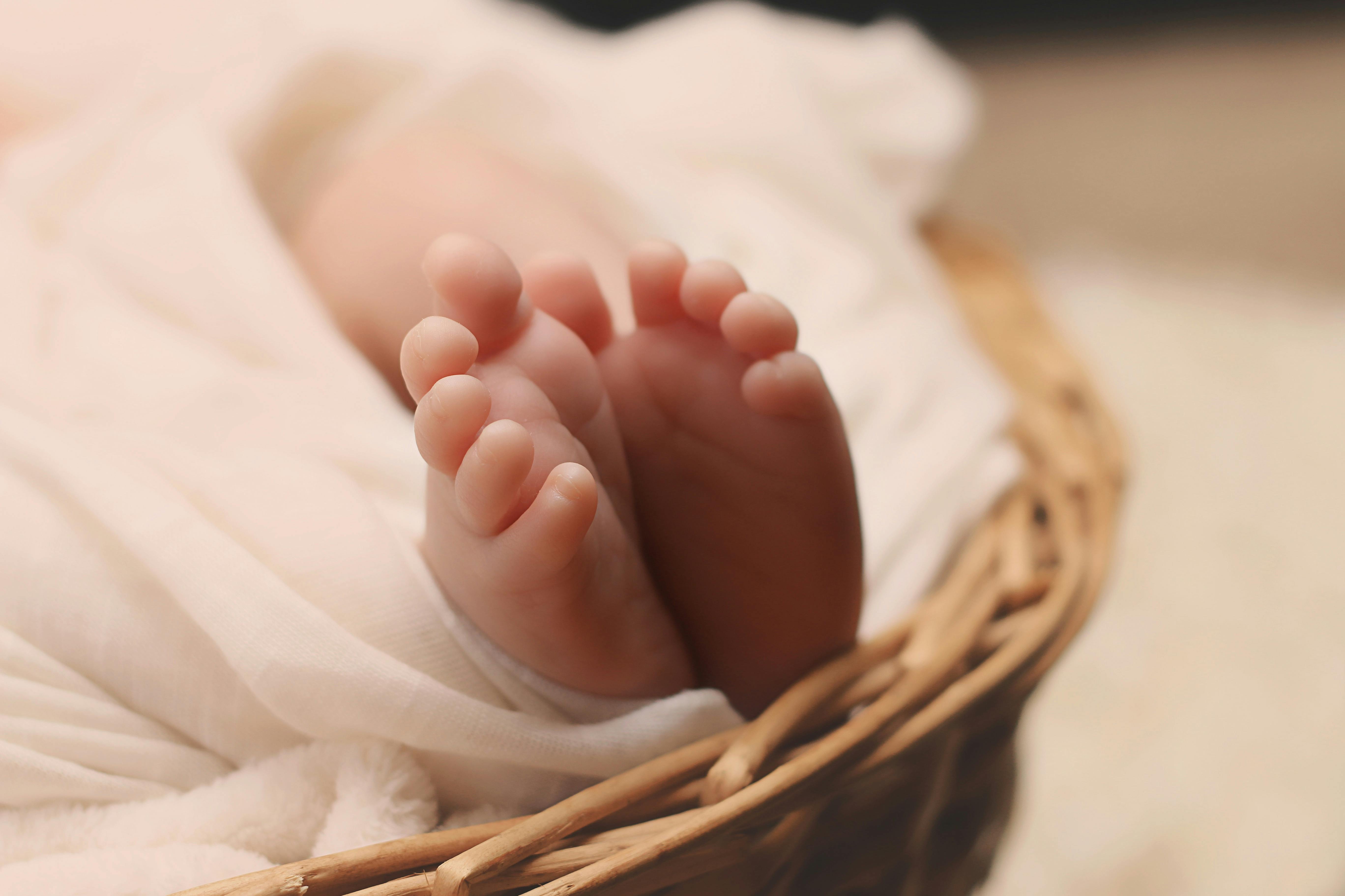 newborn-baby-feet-basket-161534.jpeg (5472×3648)