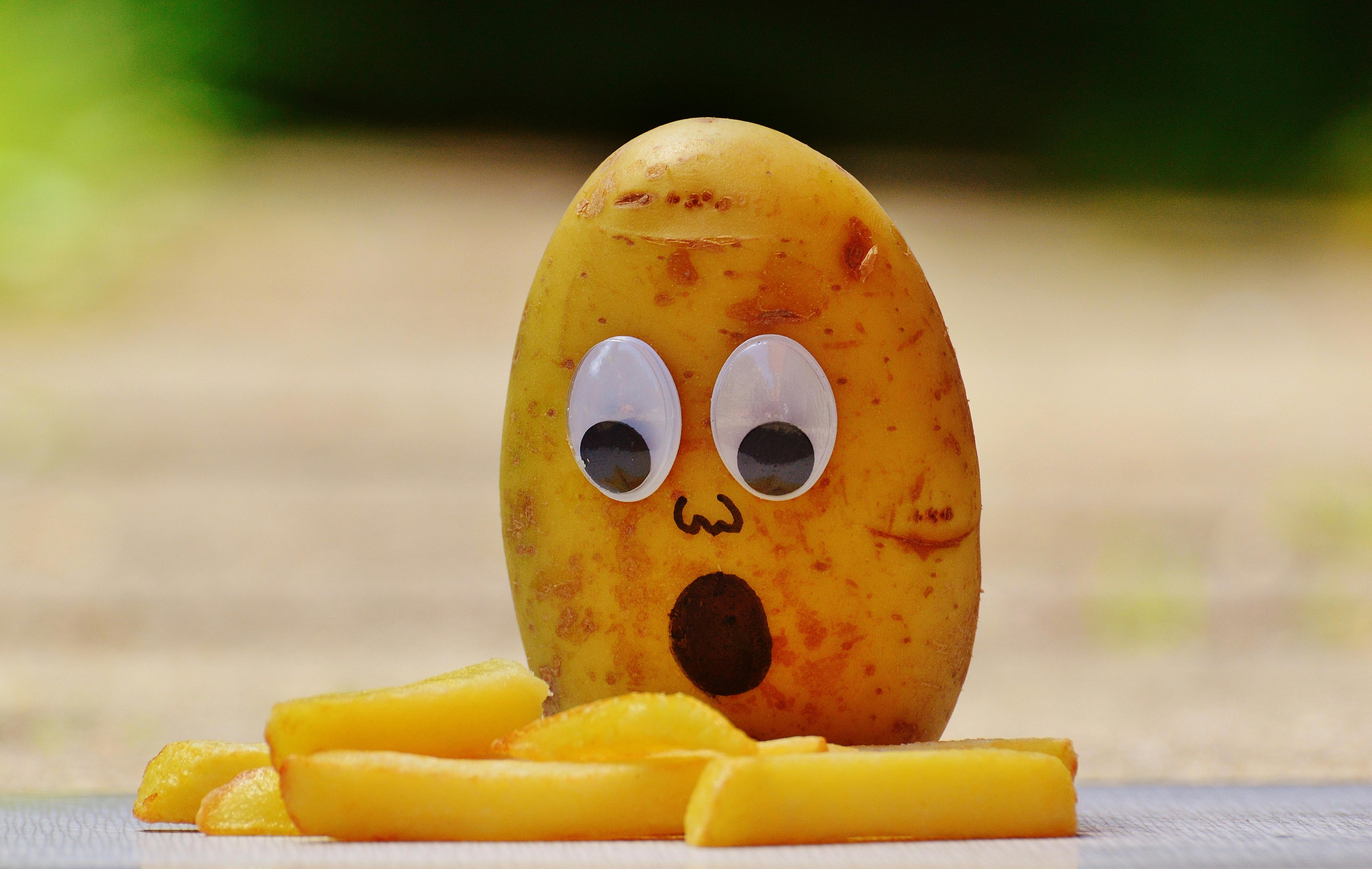 potatoes-french-mourning-funny-162971.jpeg (6016×3813)