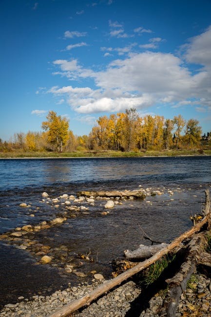 Free stock photo of autumn, pebbles, river