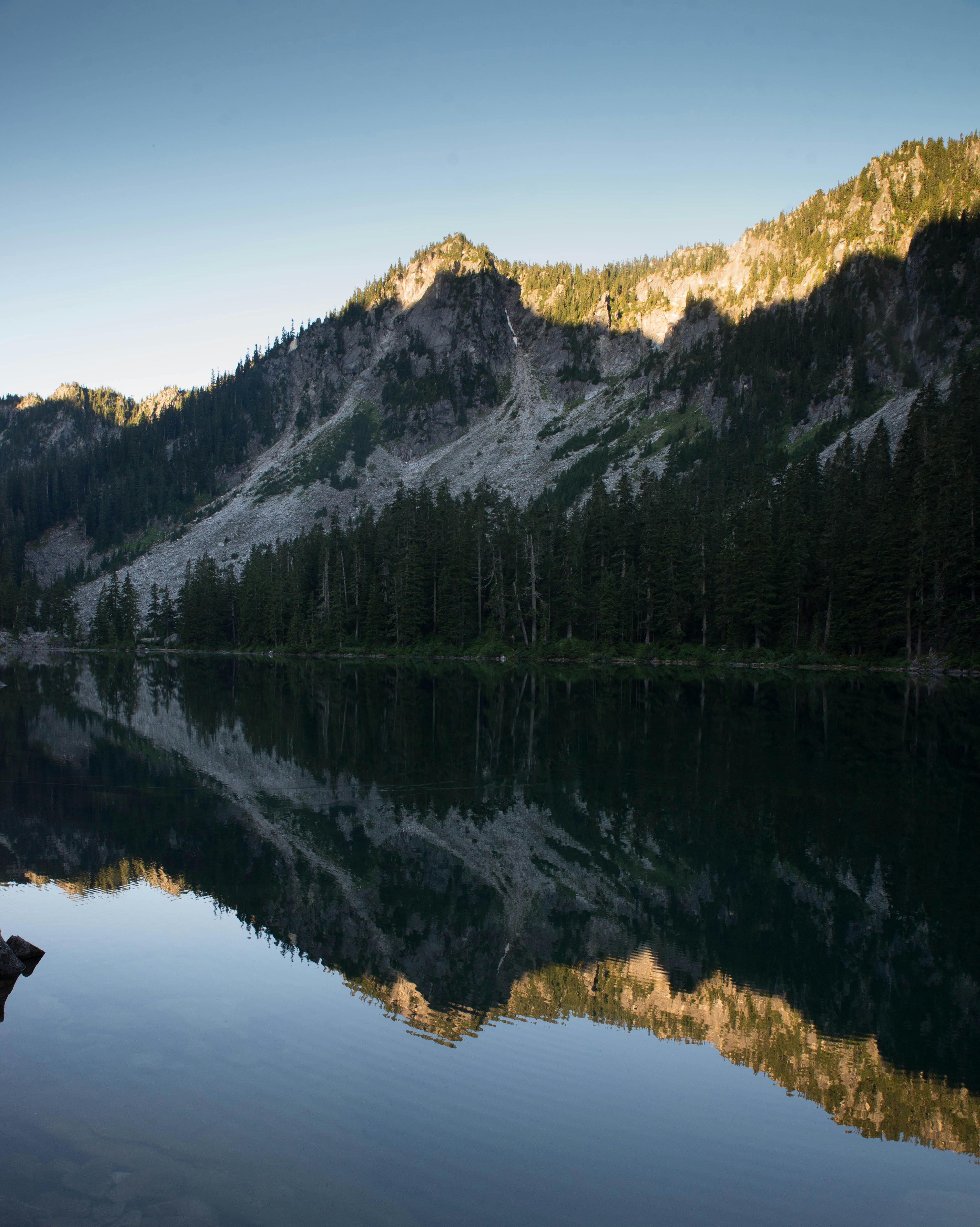 Free Stock Photo Of Conifer Daylight Lake
