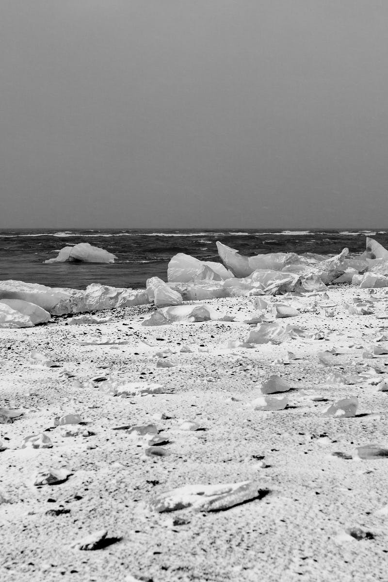 Free stock photo of black-and-white, cold, ice