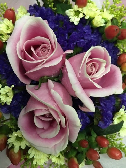 Free stock photo of bouquet, flower, flower bouquet