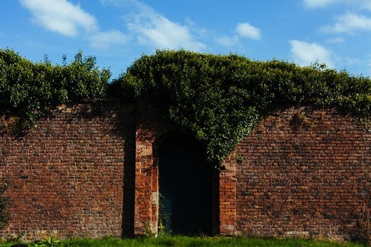 Free stock photo of bricks, wall, garden, door