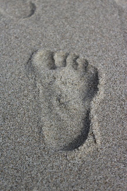 Free stock photo of footprint, ocean, sand