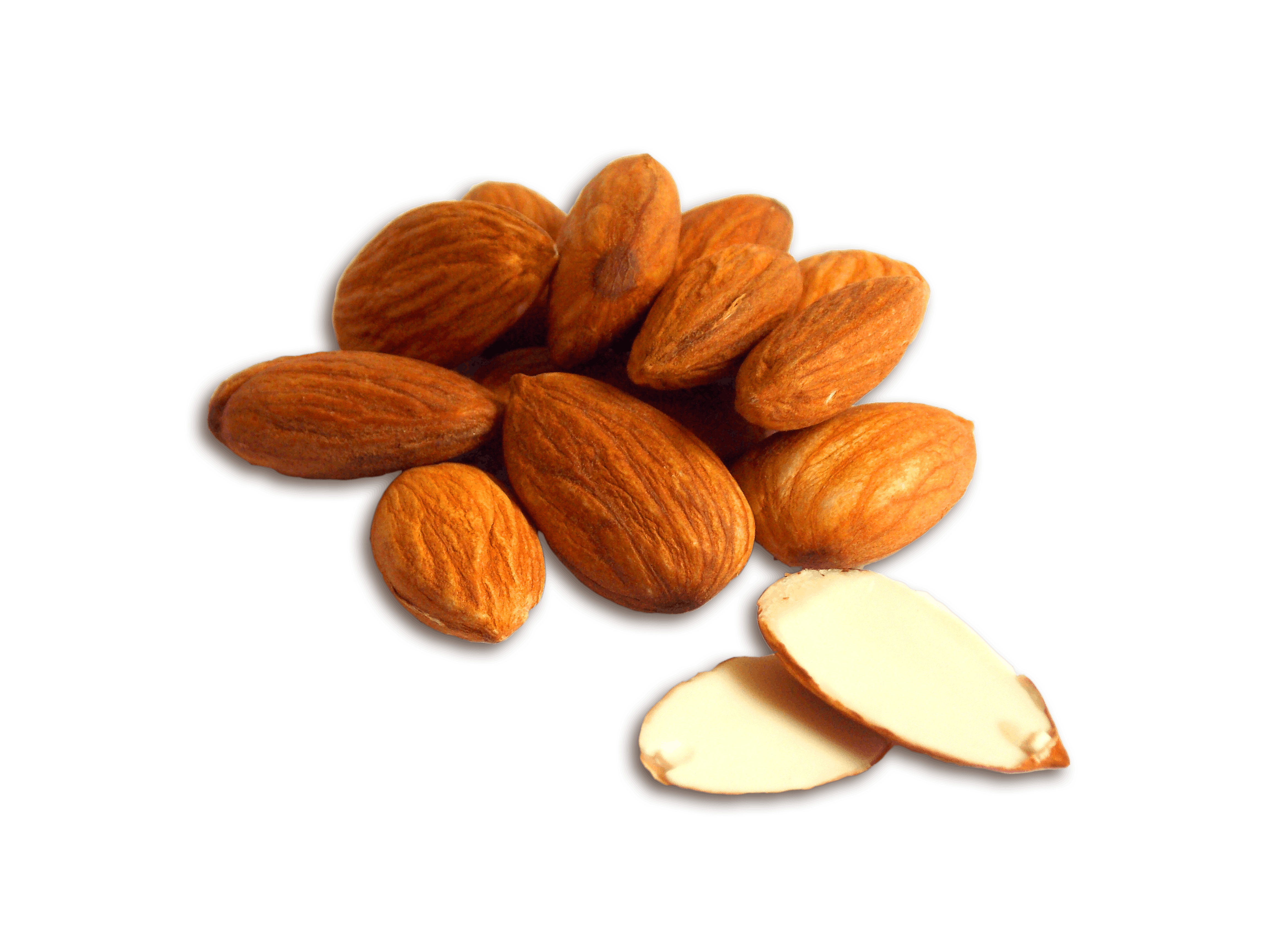 Free stock photo of almond, arabian, badam