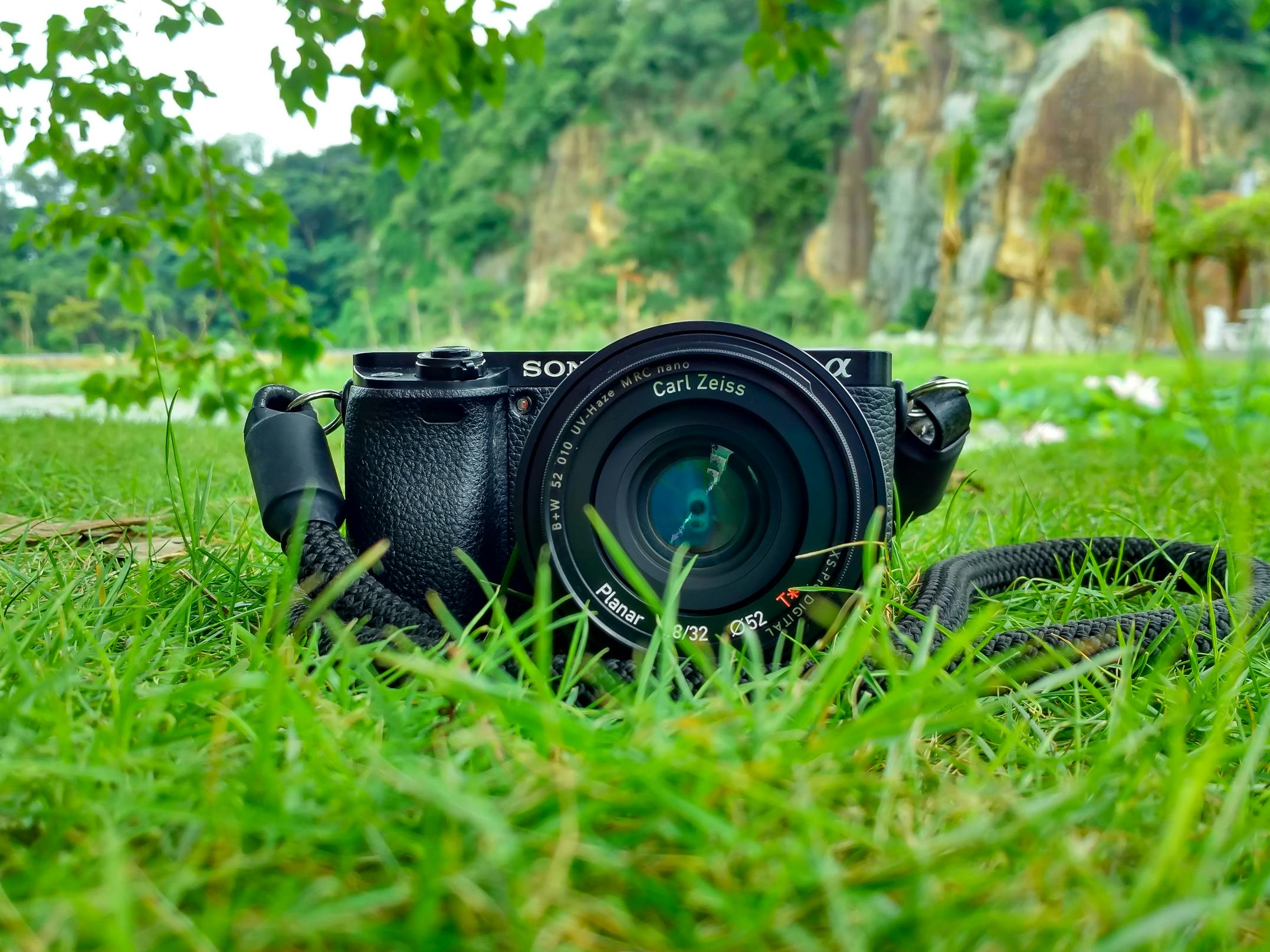 Black Sony Dslr Camera on Green Grass in Front of Brown and Green