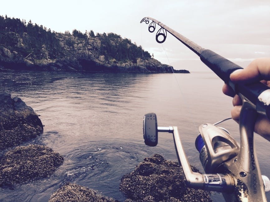 fishing, fishing pole, fishing rod