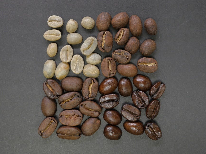 评估绿色咖啡豆
