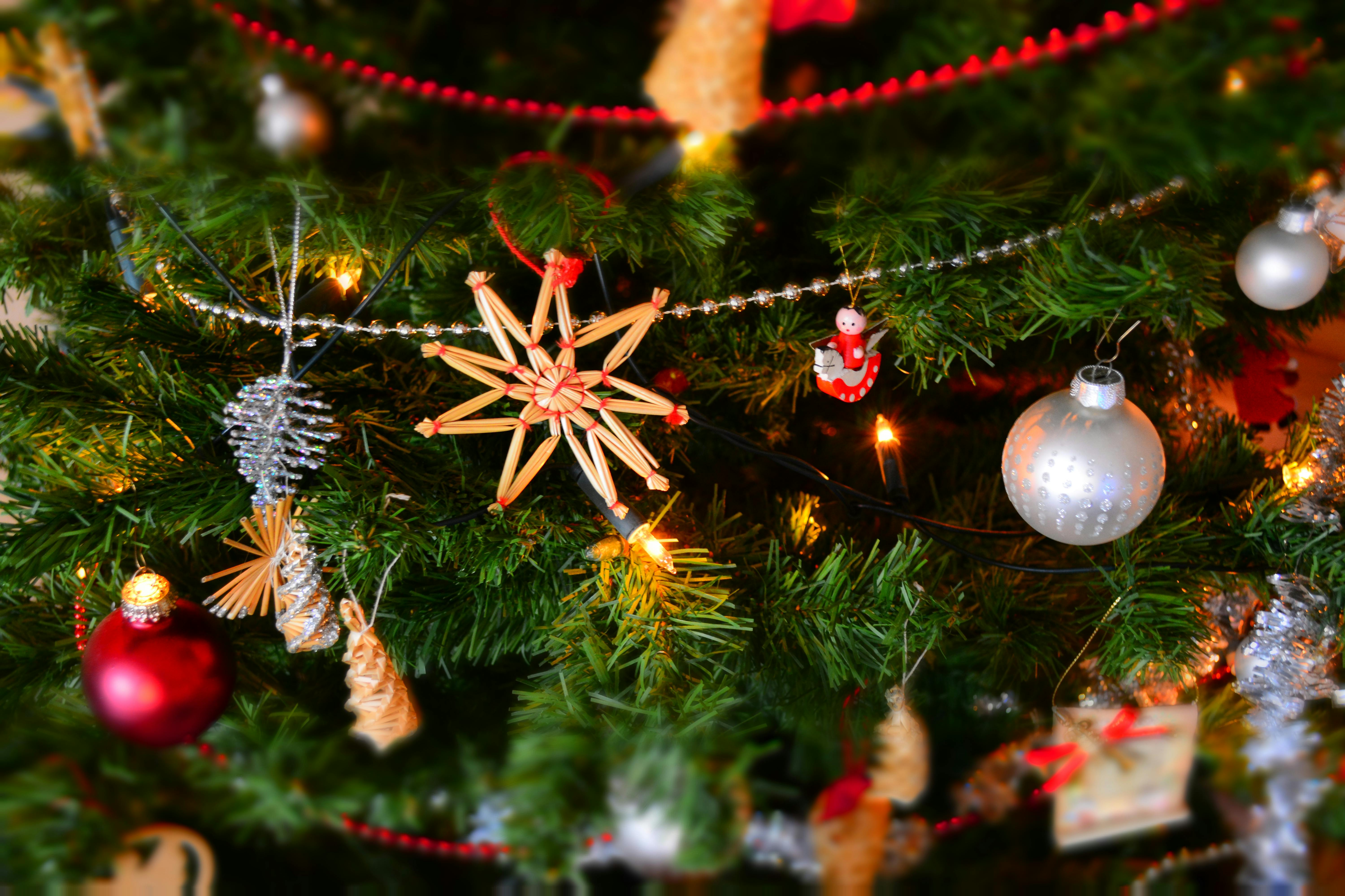 Close-up of Christmas Decoration Hanging on Tree · Free 
