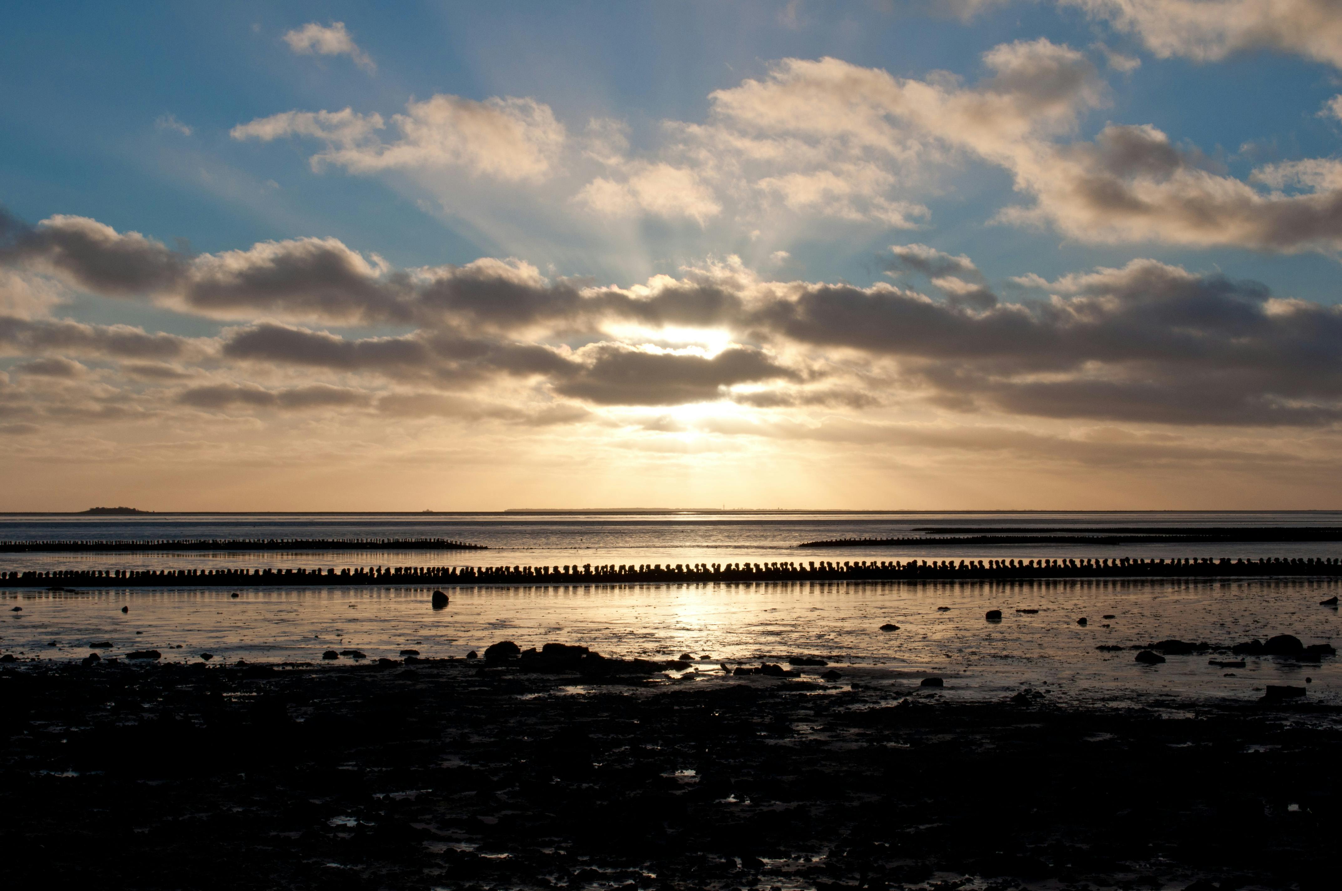 Kostenloses Foto zum Thema: nordsee