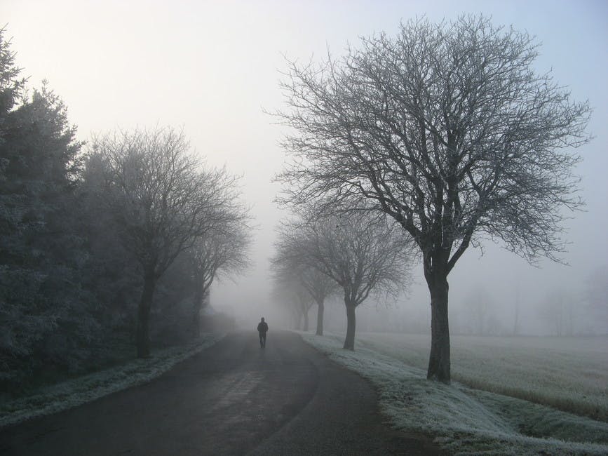 free-stock-photo-of-cold-freezing-person