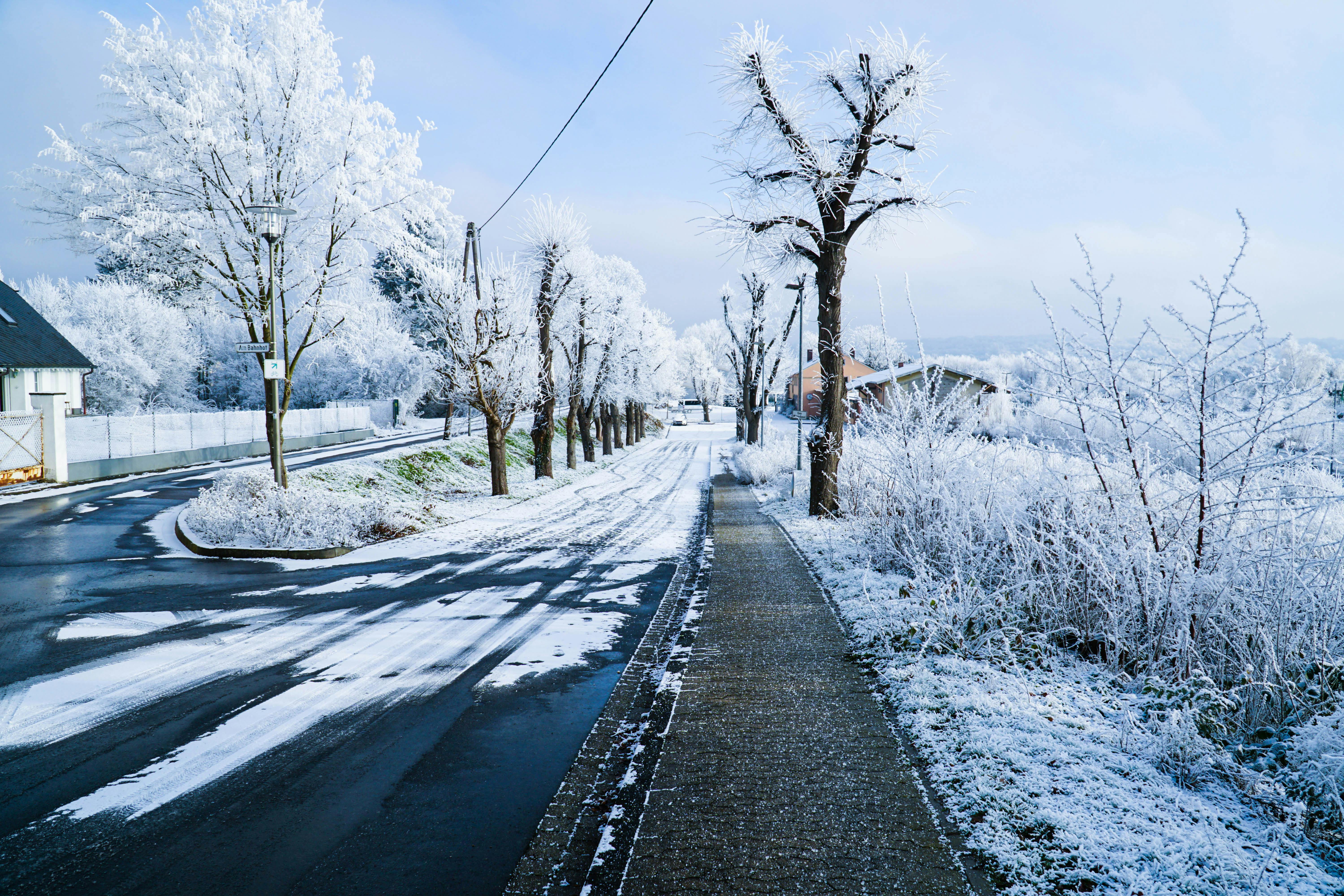 Free stock photo of cold, freezing, frost