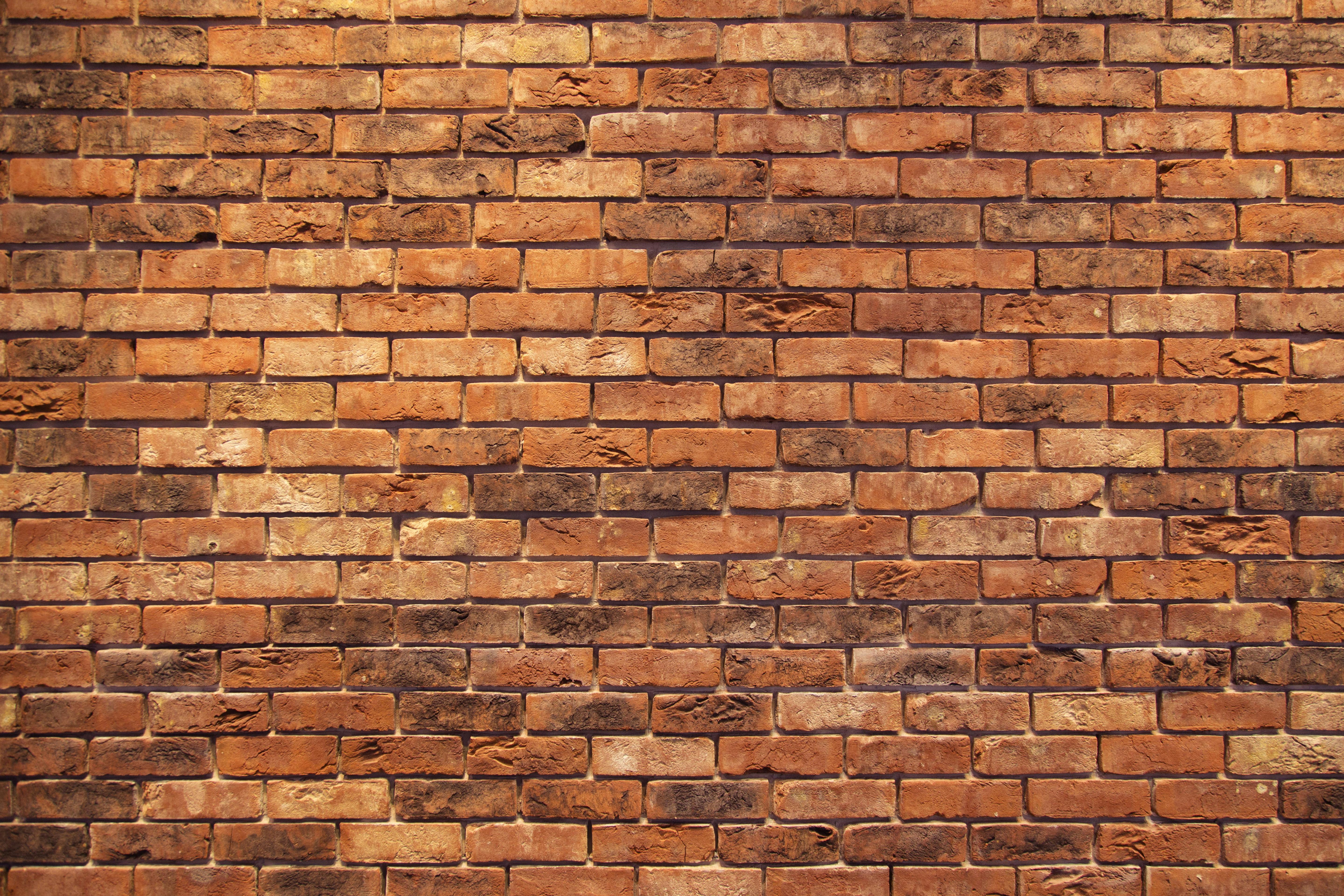 Free stock photo of background, brick, brick wall