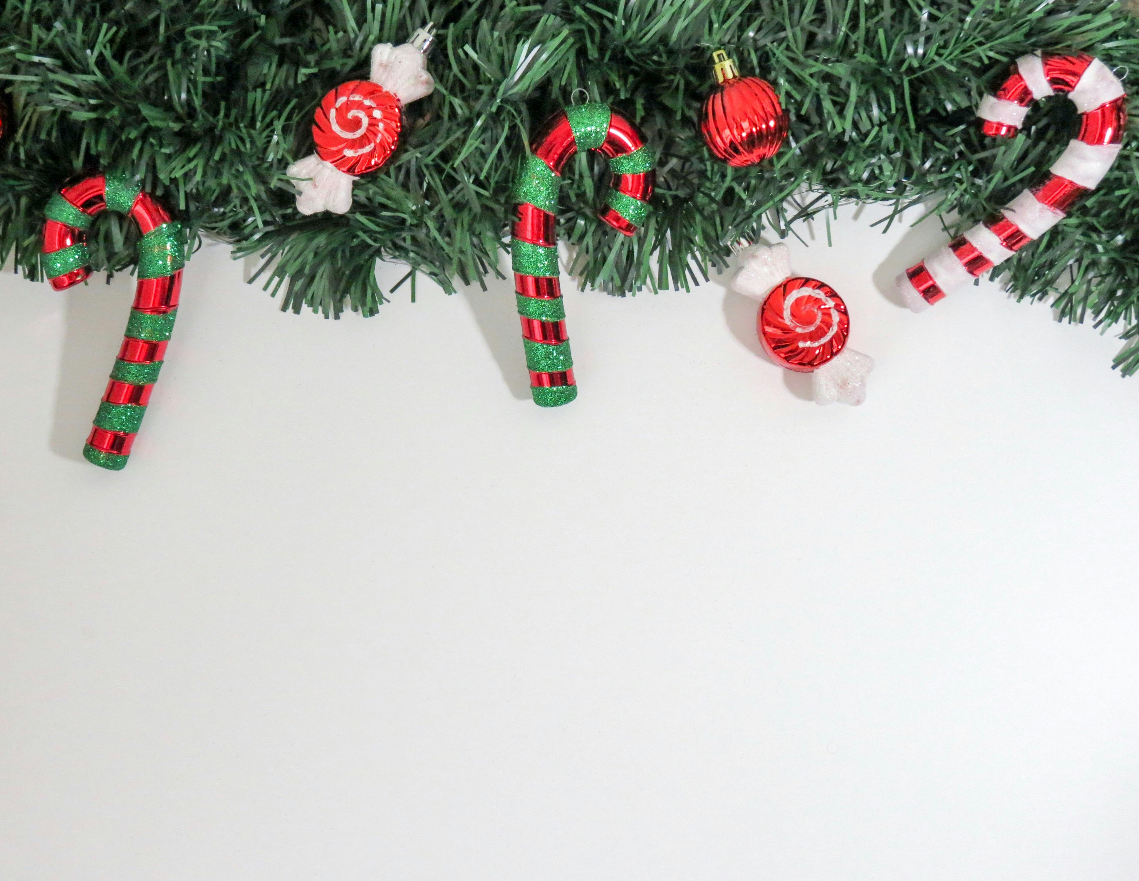 Closeup of Christmas Decorations Hanging on Tree · Free Stock Photo