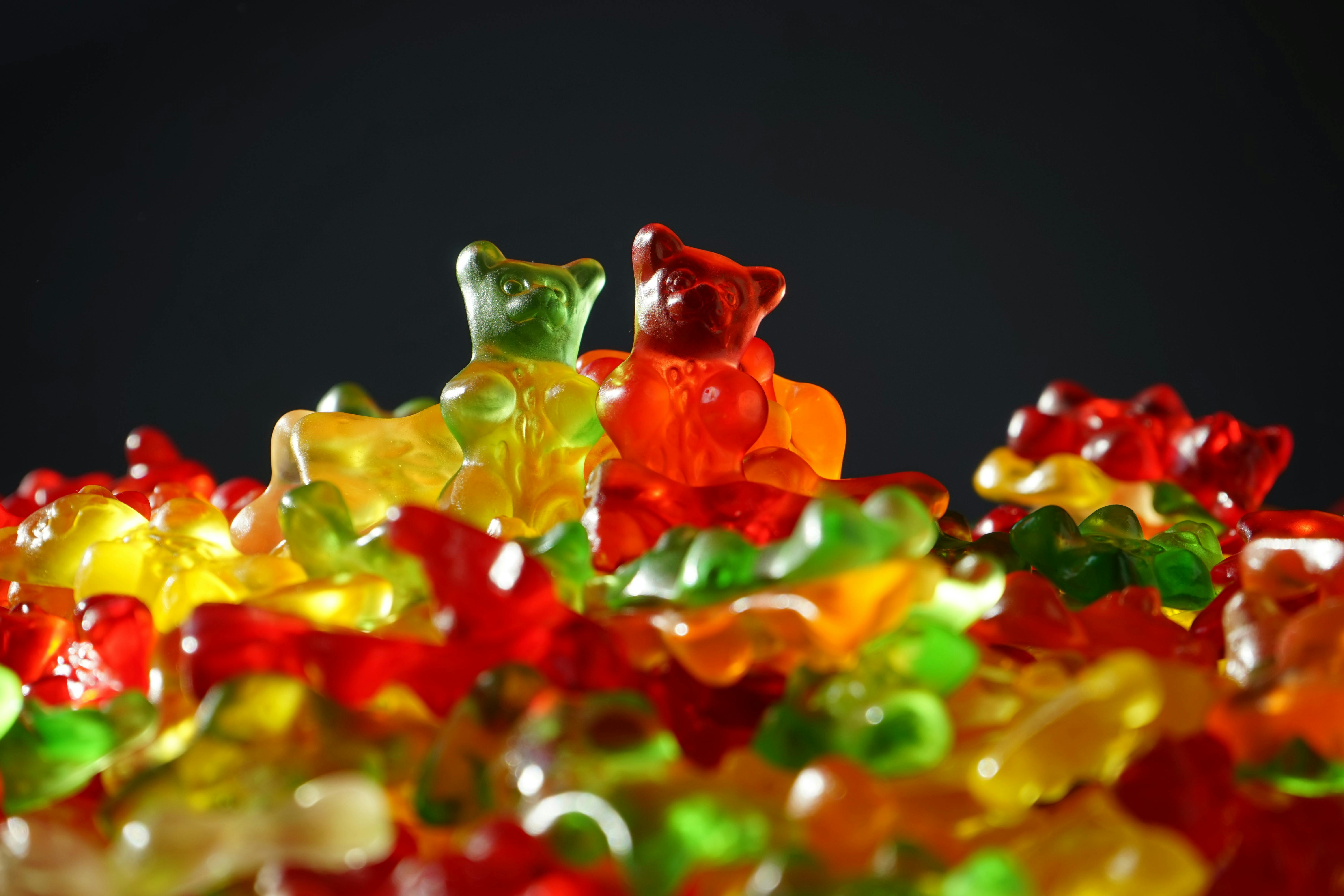 Free stock photo of bears, bright, candies