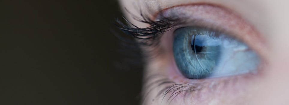 Free stock photo of eye, macro, human, iris