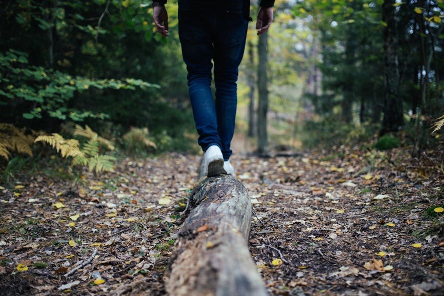 Photo of Human Walking in the Woods during Daytime