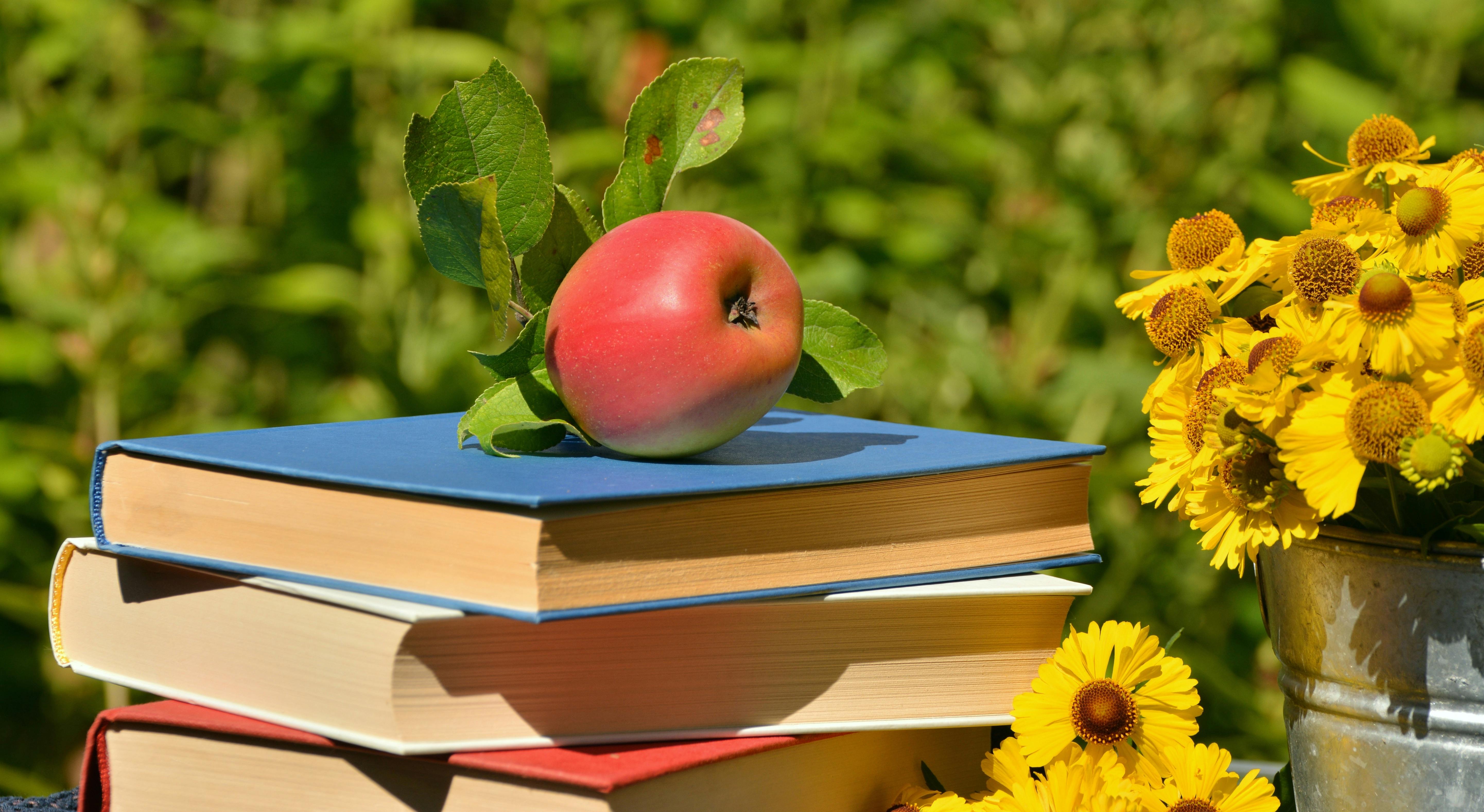 Яблоко, книга, листья, осень скачать