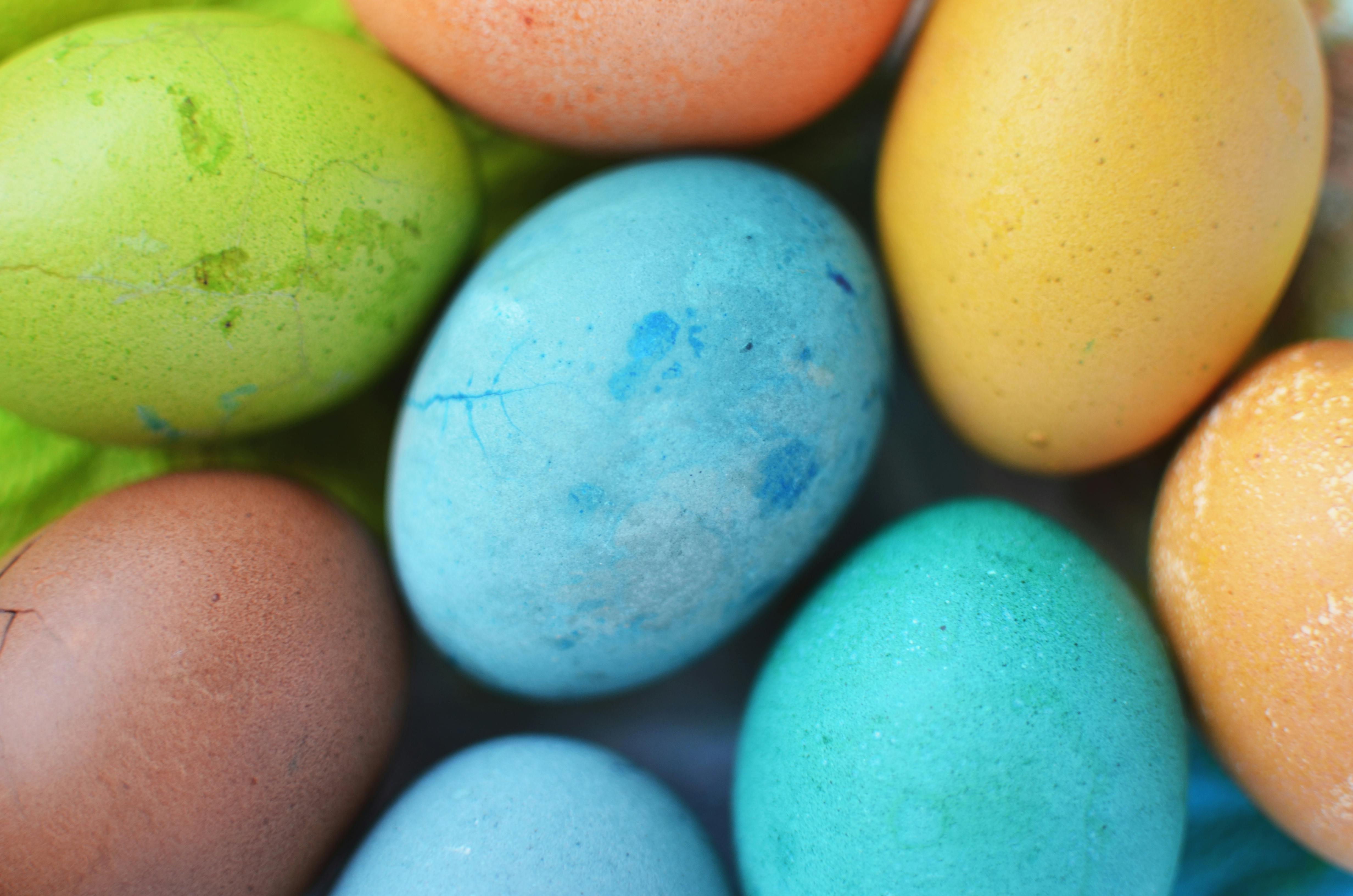 Free Easter Egg Pictures 27