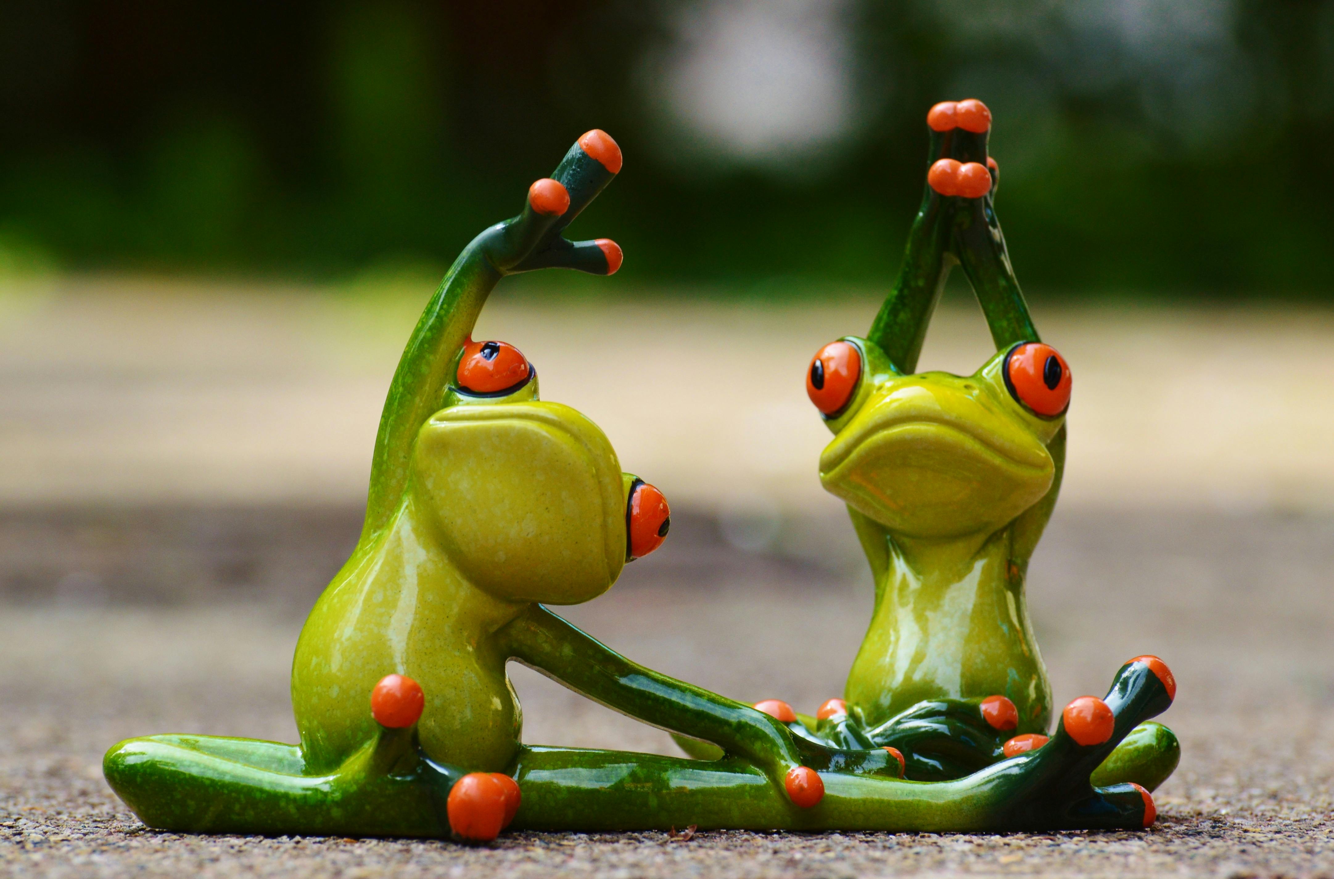 Sport calisthenics with 2 bright green frogs with red accents stretching