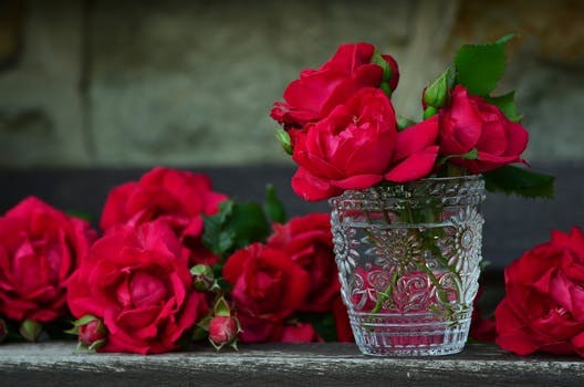 3 Red Rose on Glass Container