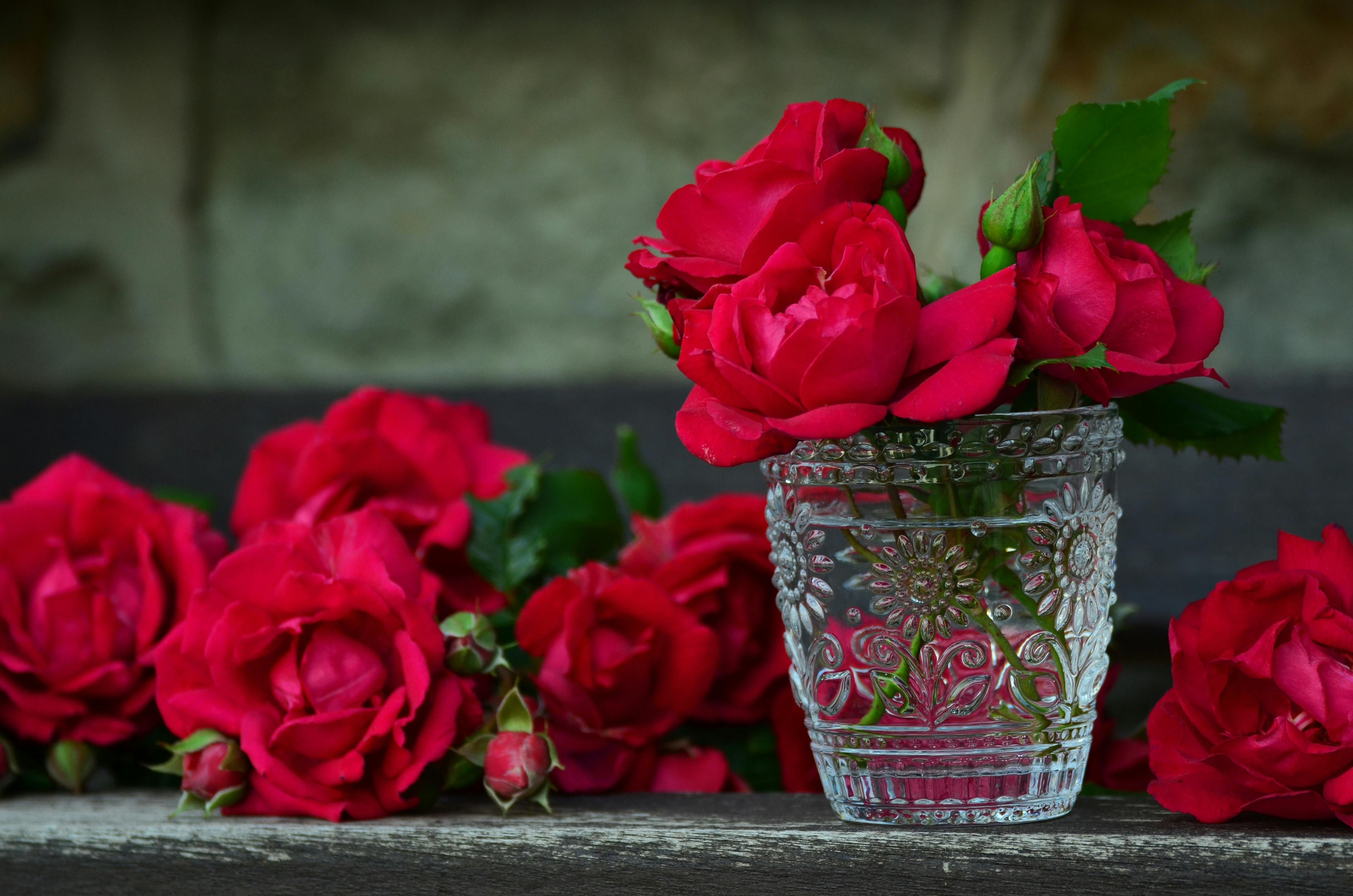 roses-red-roses-bouquet-of-roses-glass.jpg (4928×3264)