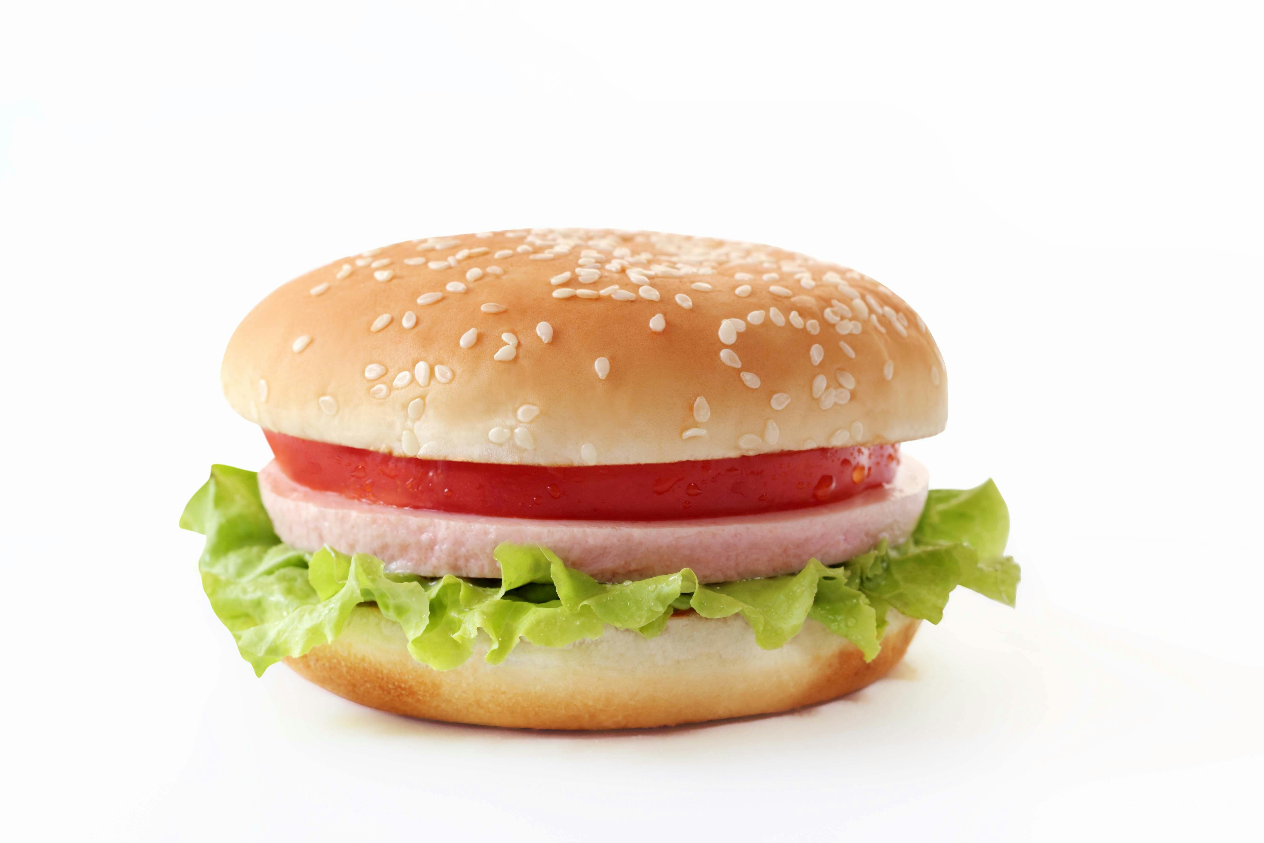 burger-cheese-food-hamburger.jpg (5184×3456)