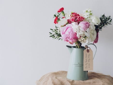 Free stock photo of flowers, gift, flowerpot