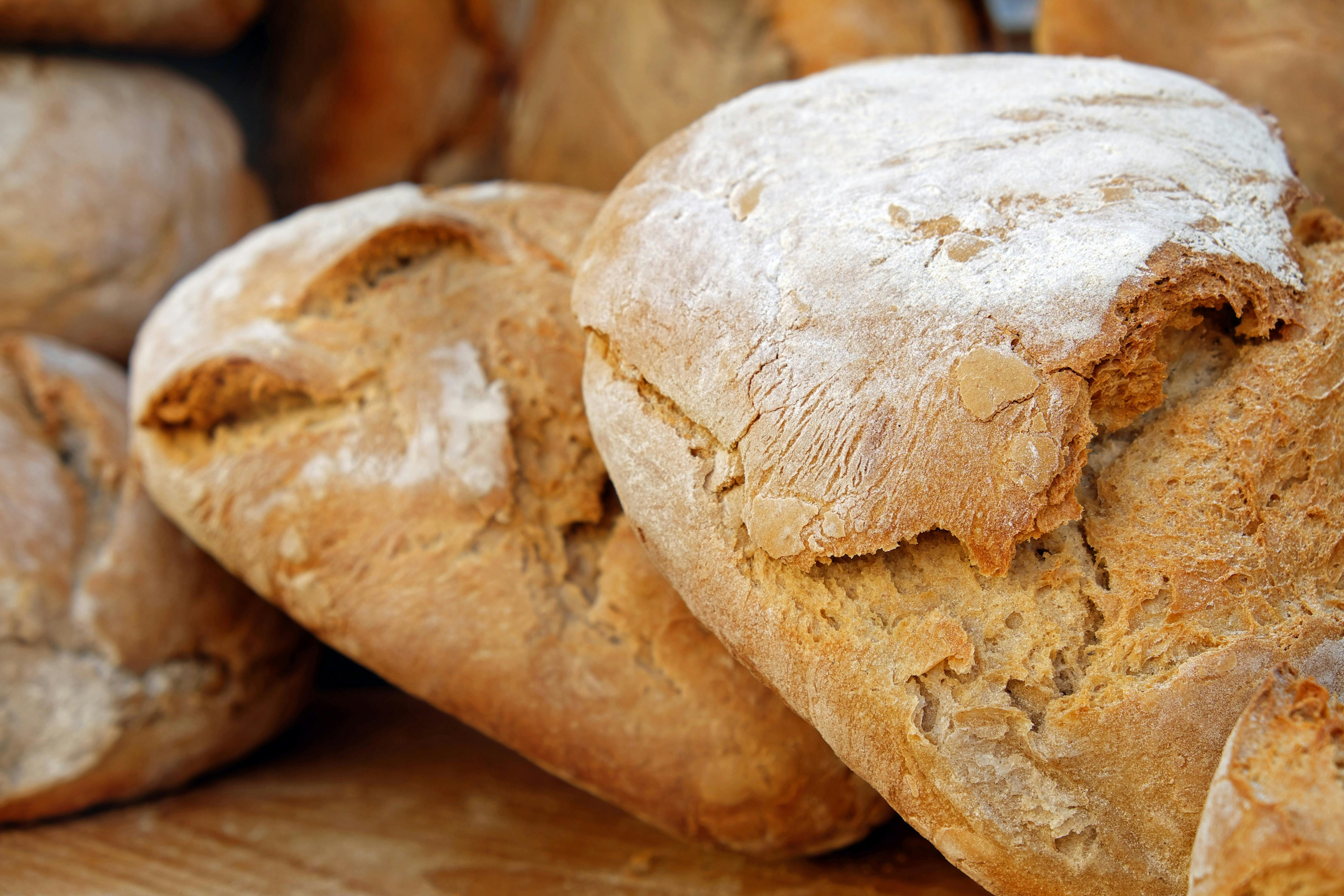 Free stock photo of baked, baked bread, baked goods