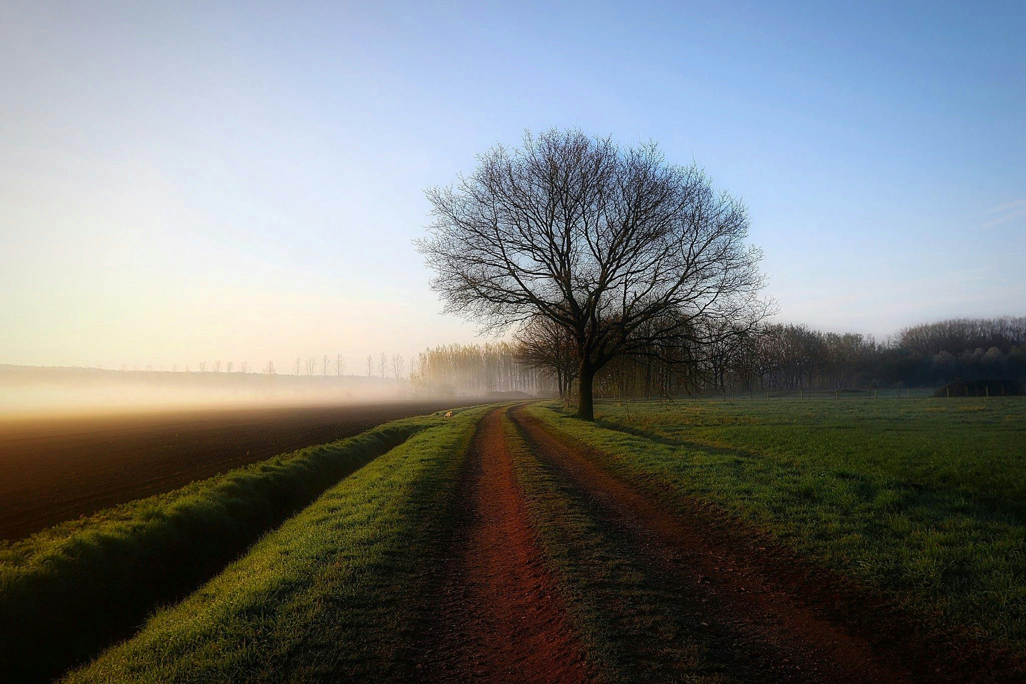 Free stock photo of Holland, landsape, landscape